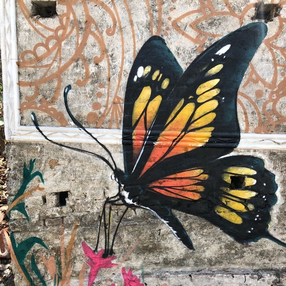 Meet your Posher, Erika - Picture 3 of 7